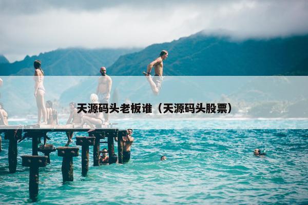 天源码头老板谁（天源码头股票）