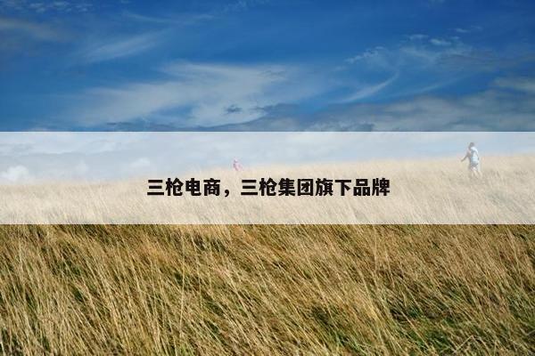 三枪电商，三枪集团旗下品牌