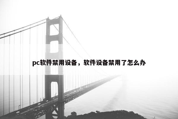 pc软件禁用设备，软件设备禁用了怎么办