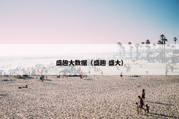 盛趣大数据（盛趣 盛大）