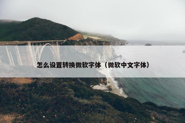 怎么设置转换微软字体（微软中文字体）