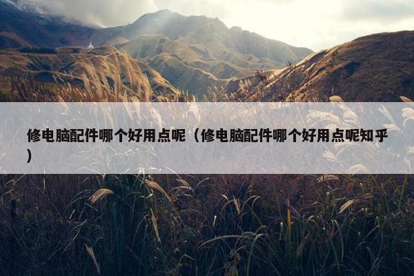 修电脑配件哪个好用点呢（修电脑配件哪个好用点呢知乎）
