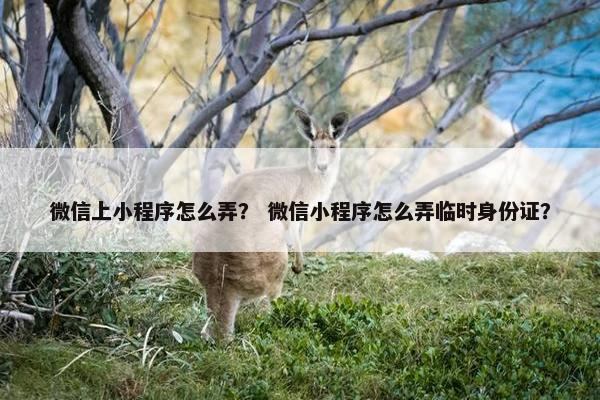微信上小程序怎么弄？ 微信小程序怎么弄临时身份证？