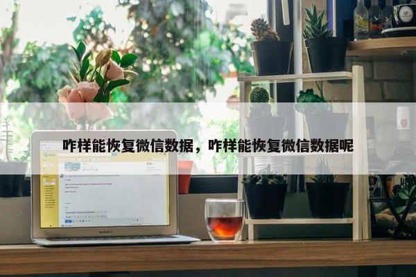 咋样能恢复微信数据，咋样能恢复微信数据呢