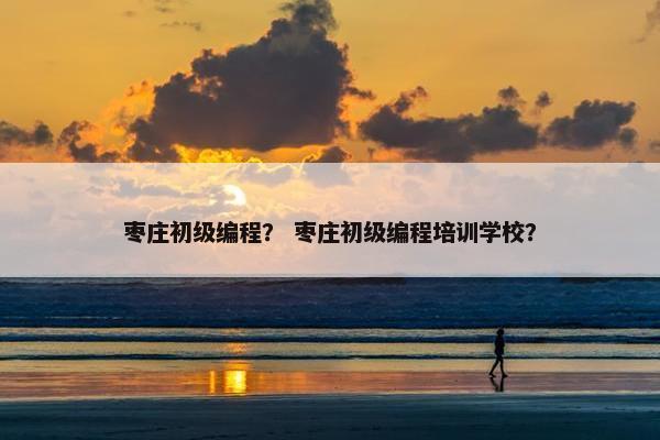 枣庄初级编程？ 枣庄初级编程培训学校？
