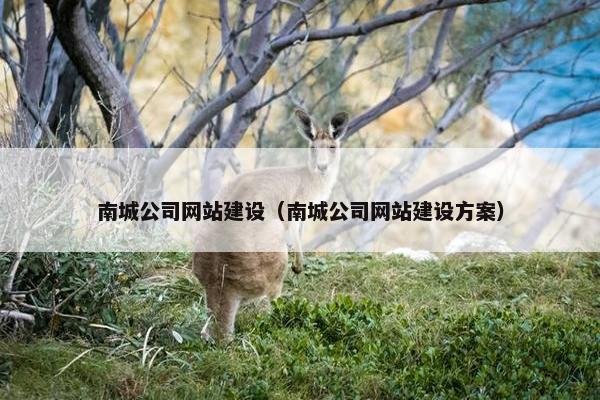 南城公司网站建设（南城公司网站建设方案）