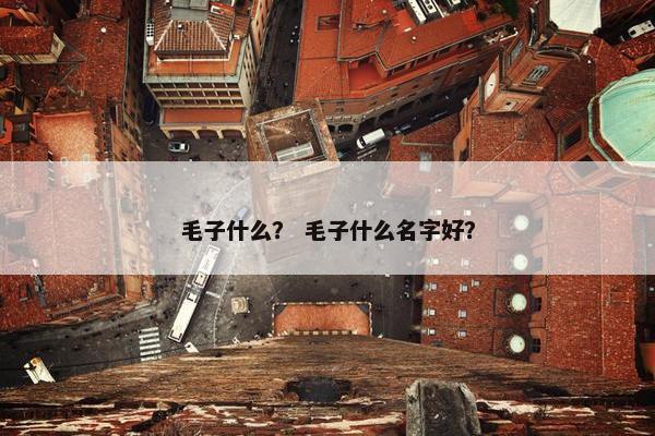 毛子什么？ 毛子什么名字好？