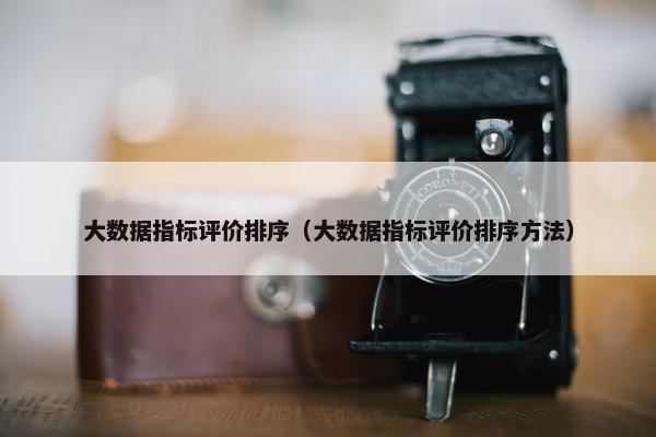 大数据指标评价排序（大数据指标评价排序方法）