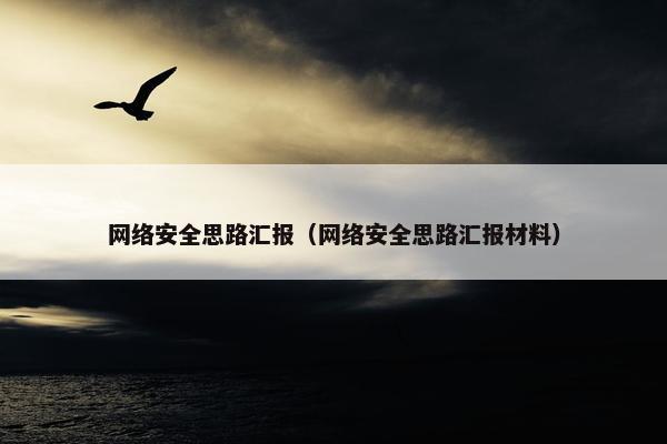 网络安全思路汇报（网络安全思路汇报材料）