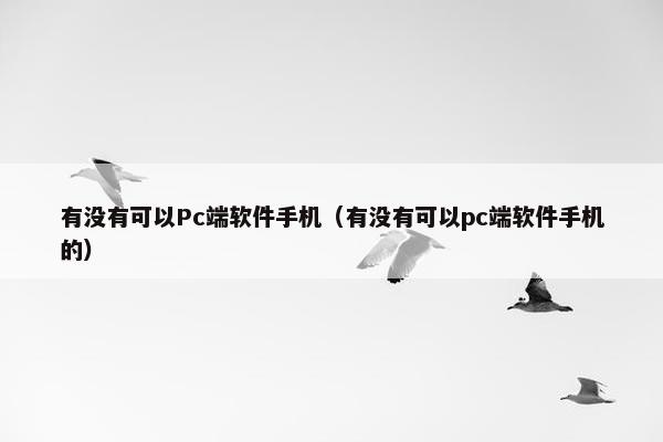 有没有可以Pc端软件手机（有没有可以pc端软件手机的）