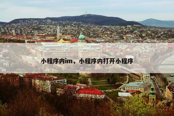 小程序内im，小程序内打开小程序