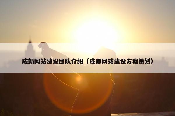 成新网站建设团队介绍（成都网站建设方案策划）