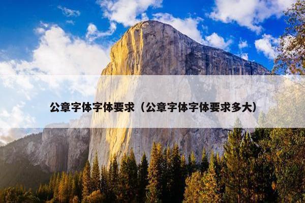 公章字体字体要求（公章字体字体要求多大）