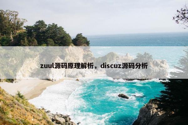 zuul源码原理解析，discuz源码分析