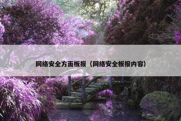 网络安全方面板报（网络安全板报内容）