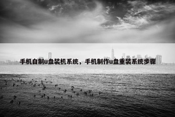 手机自制u盘装机系统，手机制作u盘重装系统步骤