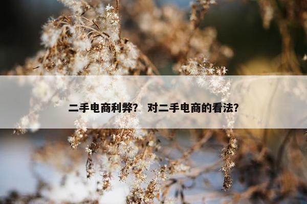 二手电商利弊？ 对二手电商的看法？